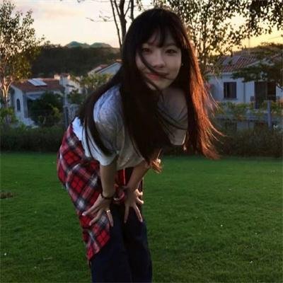 神犬小七第一季