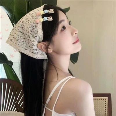 追凶者也