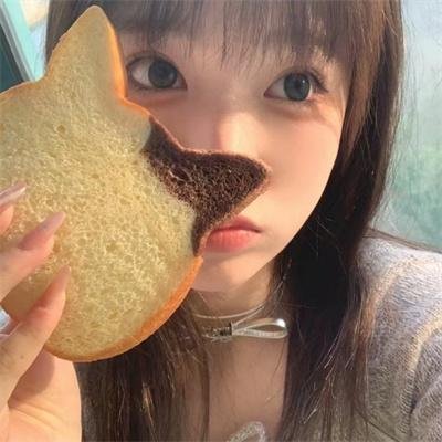 国际啄木鸟